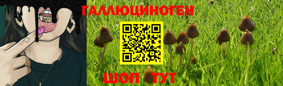 Псилоцибиновые грибы прущие грибы  Псилоцибиновые грибы Magic Shrooms  Вход с VPN  Таганрог 