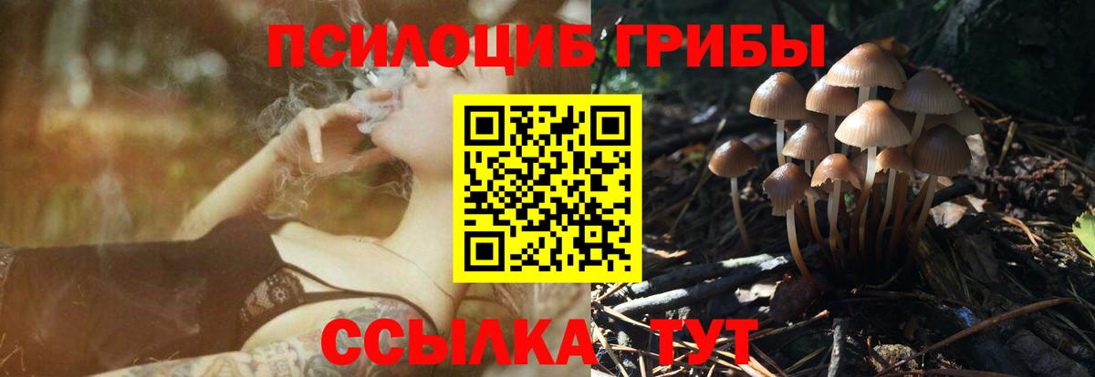 Псилоцибиновые грибы мухоморы Таганрог